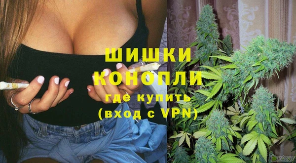 дживик Алзамай