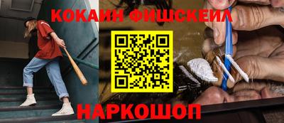 гашик Камышлов
