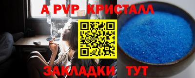 гашик Камышлов
