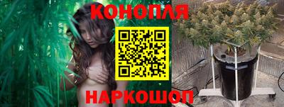 mdpv Канаш