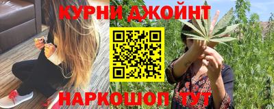 гашик Камышлов