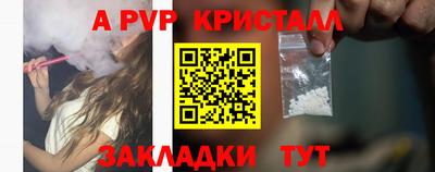 гашик Камышлов