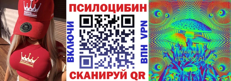 где найти   Новоуральск  Псилоцибиновые грибы мицелий 